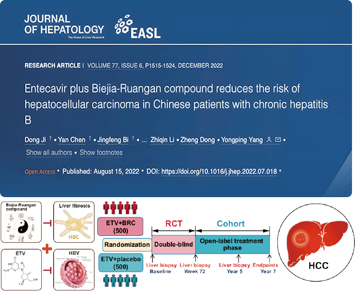 复方鳖甲软肝片联合抗病毒药物治疗，可显著降低肝癌发生