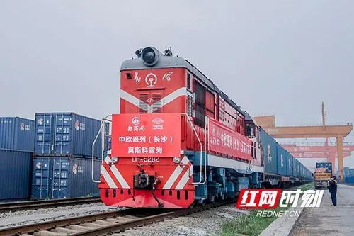 解局丨加快形成 双循环 育新机开新局的关键一招