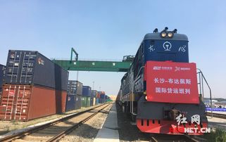 看专家们在长沙为 中国金霞物流谷 献了哪些 金点子