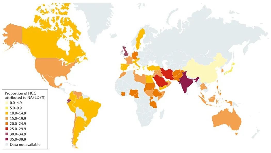 Nature 综述：中国脂肪肝相关肝癌发病率将升高86%，急需预防！